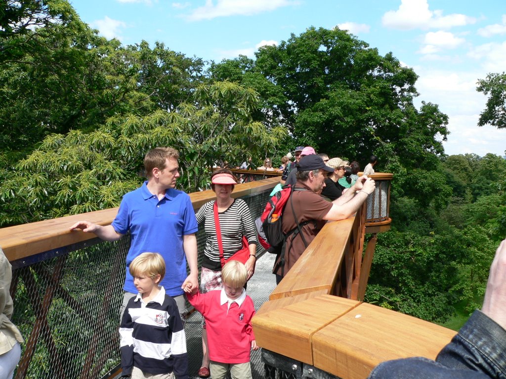 Treetop view at Kew Gardens by Frank Warner