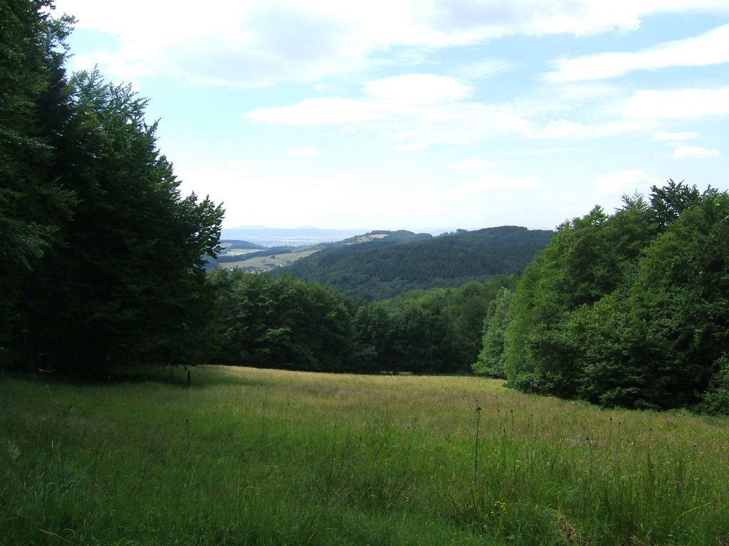 Aussicht von der Bahntrasse by opendcc