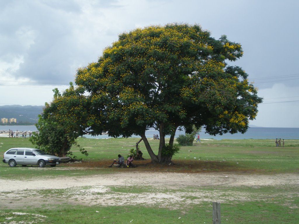 Montego Bay - Between hotels and the city by andreyss