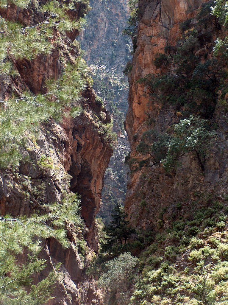 Samaria Gorge, Crete, Greece by Péter Kesselyák