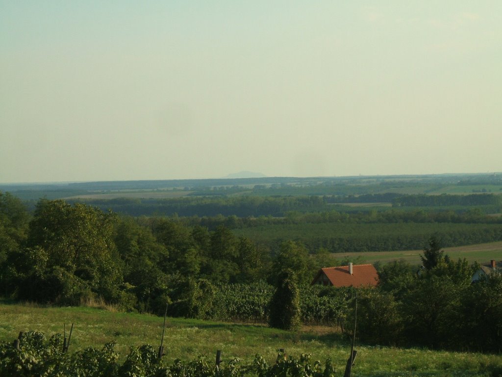 Sokoró Hills, 26.Aug,2007 by PanoramioHungary