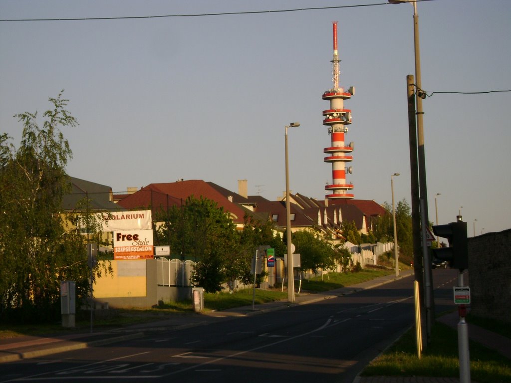 TV-tower of Györ, 2.May,2008 by PanoramioHungary