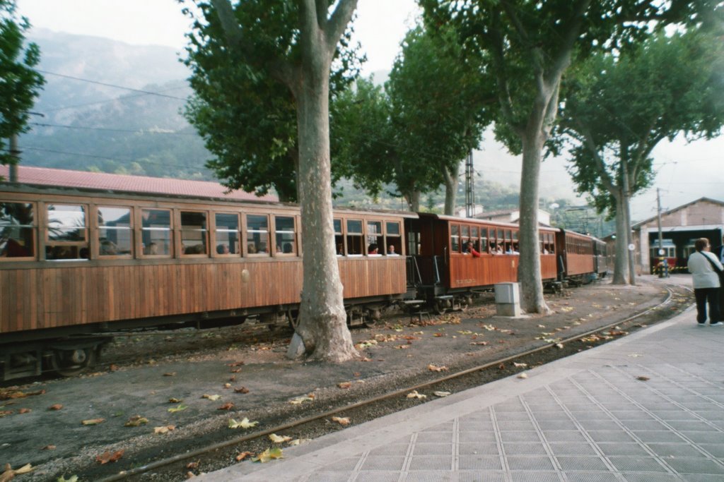 Tren soller by luis1933