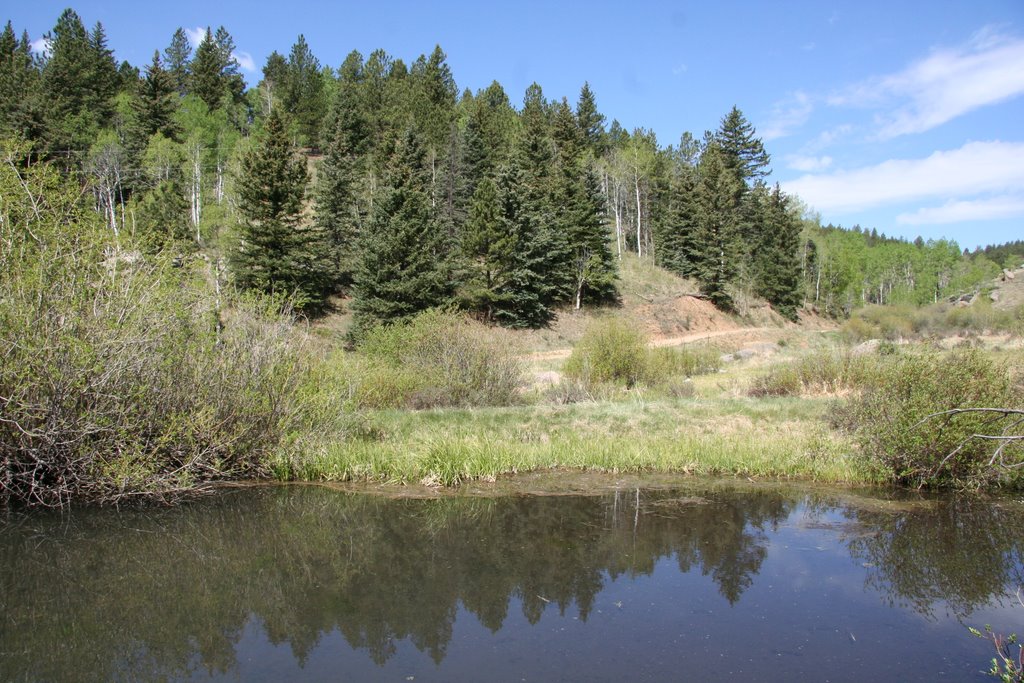 Mountain Pond by maxandtams