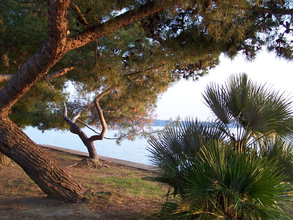 Blick von Portoroz nach Kroatien rüber by Plastik