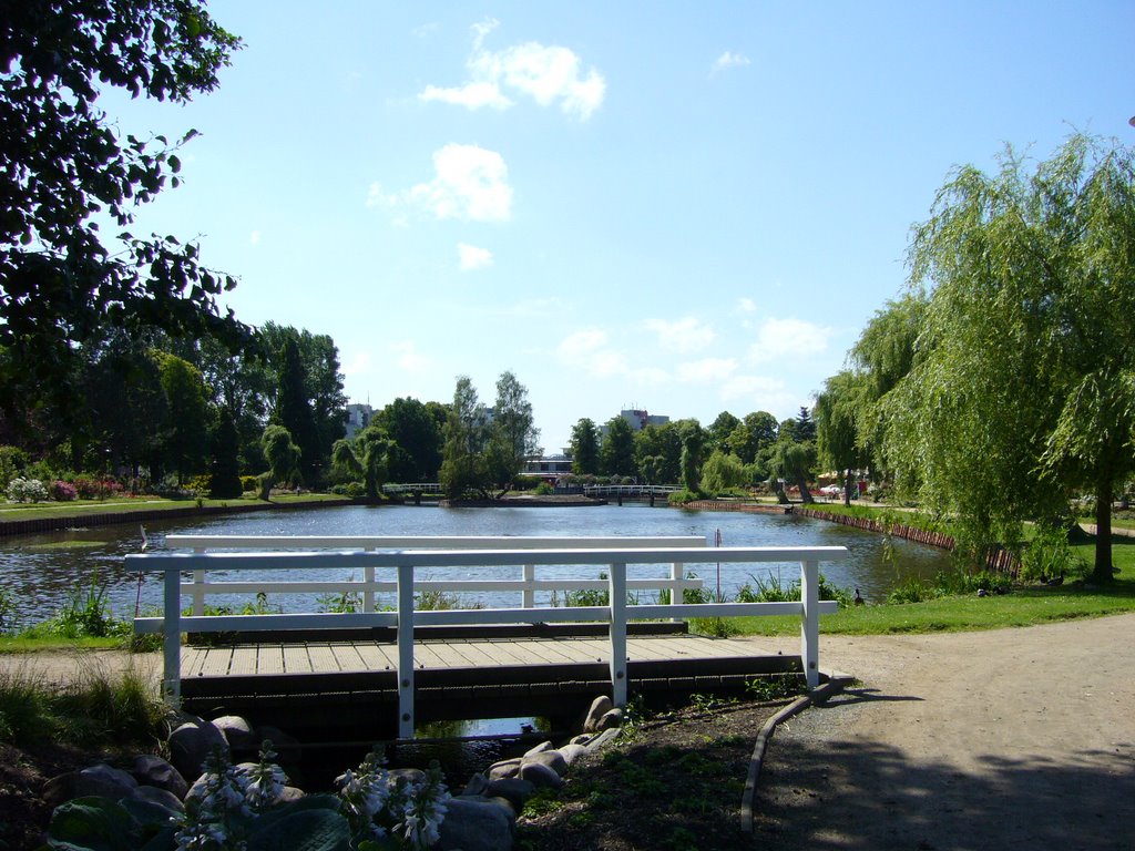 Teich Rosarium by Julita