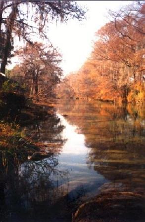 Rio Ramos otoño by Eric