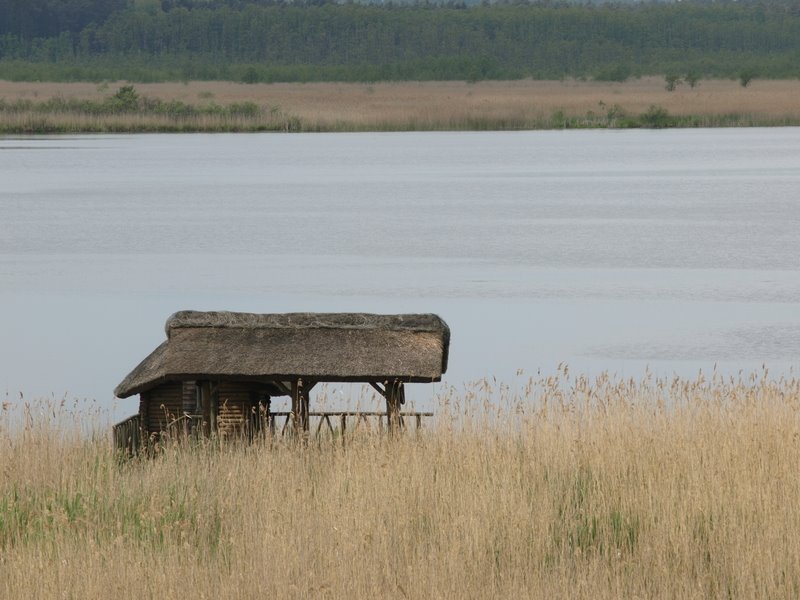 The Nature Reserve "Świdwie Lake" by Maciej Godniak