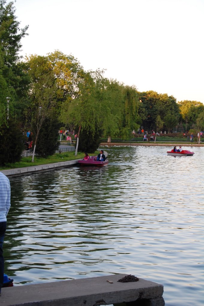 Lac in parc by cupry