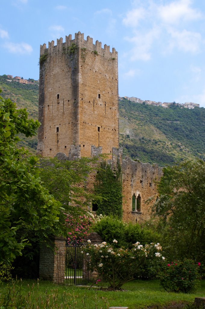 Oasi di Ninfa by Claudio Viviani