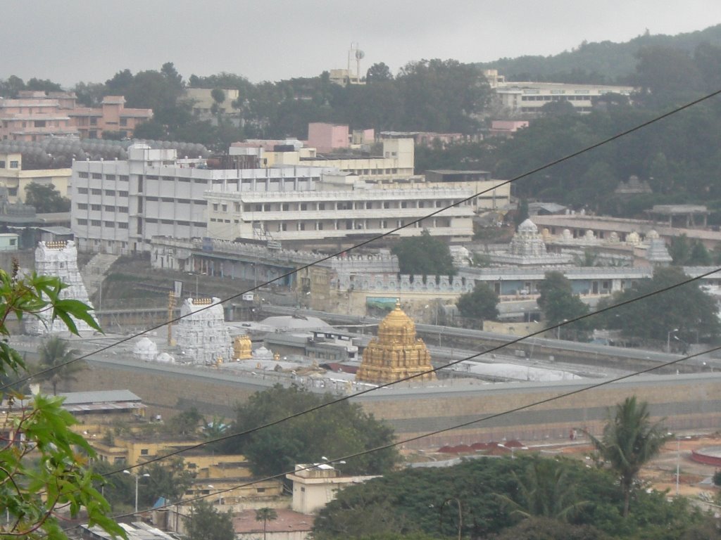 Tirupati balaji temple by ashutosh