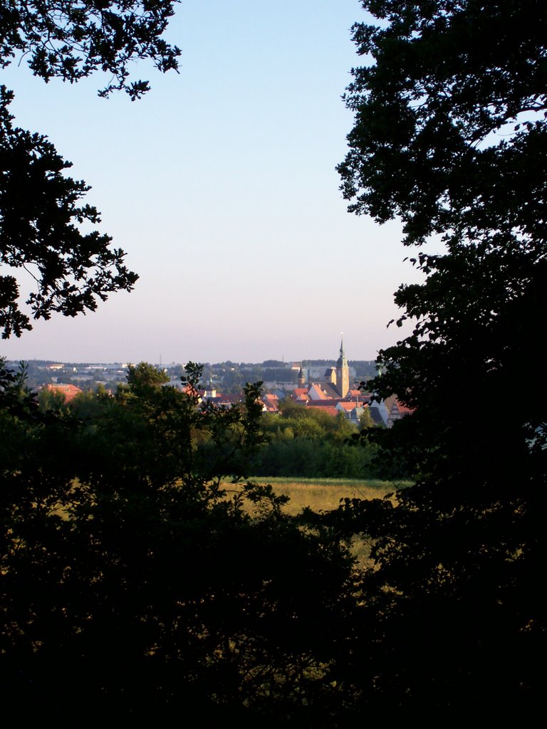 Freiberg vom Denkmal "Herders Ruhe" by ©Bke