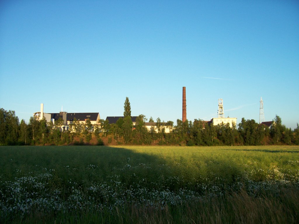 Reiche Zeche am Abend des 21.06.08 by ©Bke