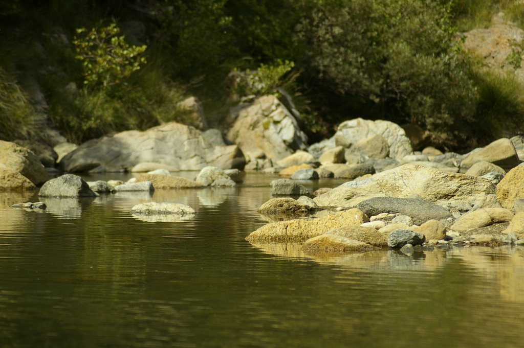 Torrente gorzente by massimo federico