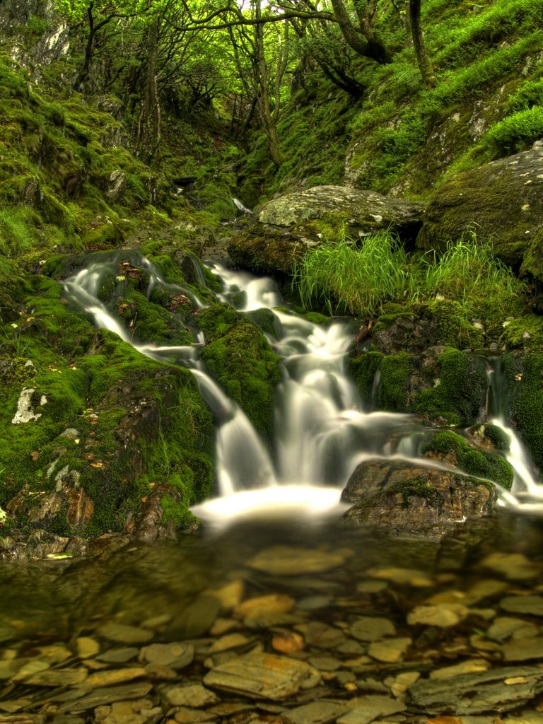 Mountain Stream by Husker Inanna