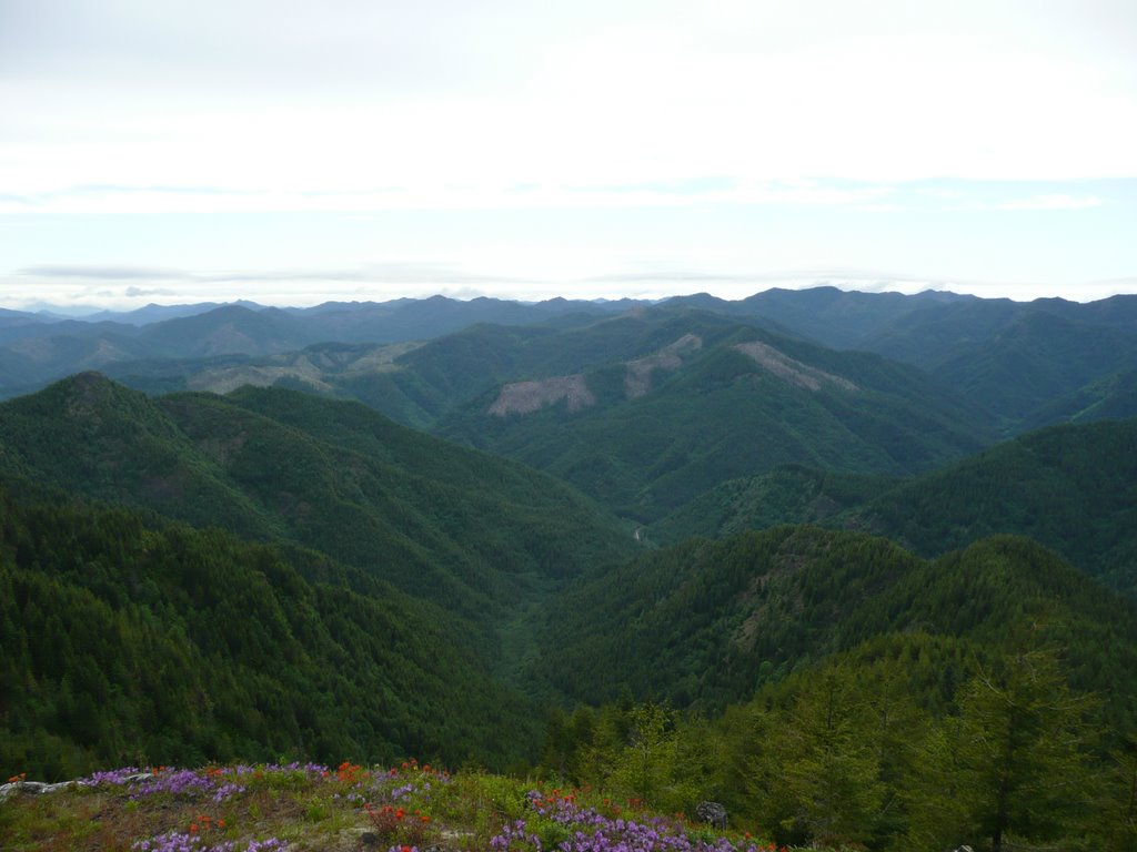 Looking North West from Kings Ridge by Jon N. Powell