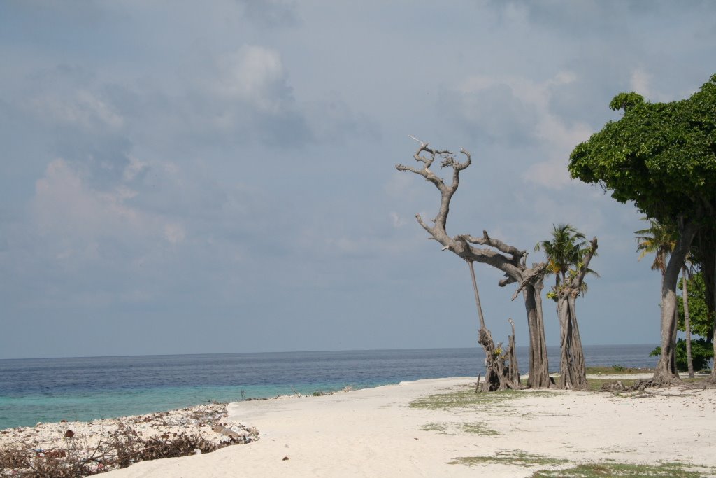 Isola Pescatori by Luigi P.