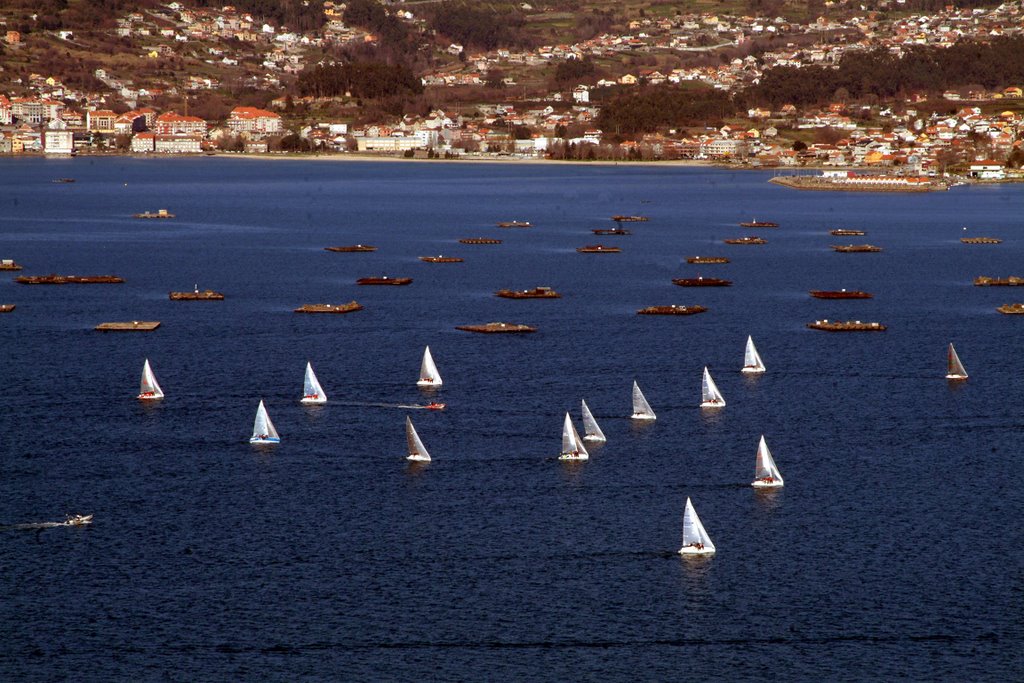 Ría de Vigo, regata by Germán Cruces Rajoan