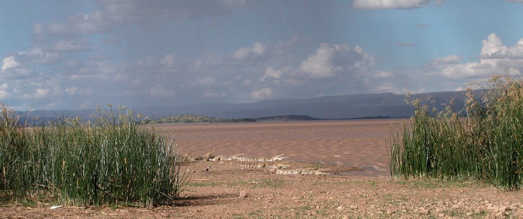 Crocodiles, Robert's Camp Lake Baringo by exotic-ch