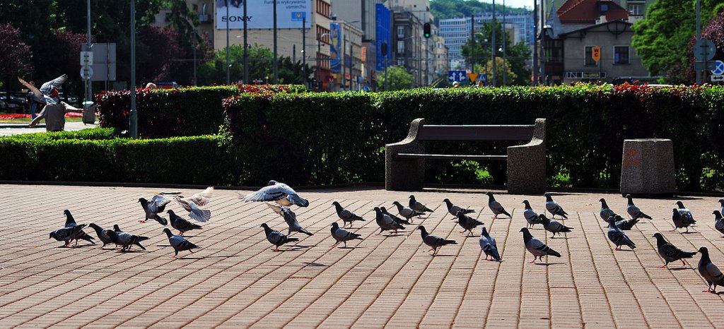 Gdynia - Kosciuszko square by Wlodzimierz Poznansk…