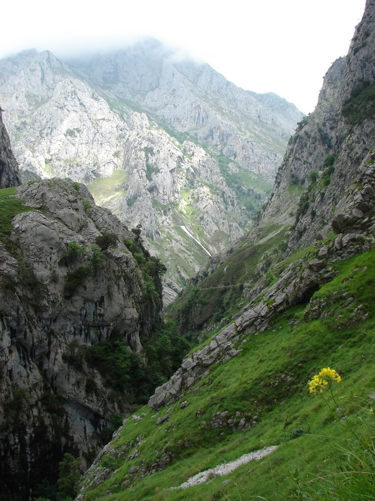 Canal del Tejo (Bulnes) by laura&paula