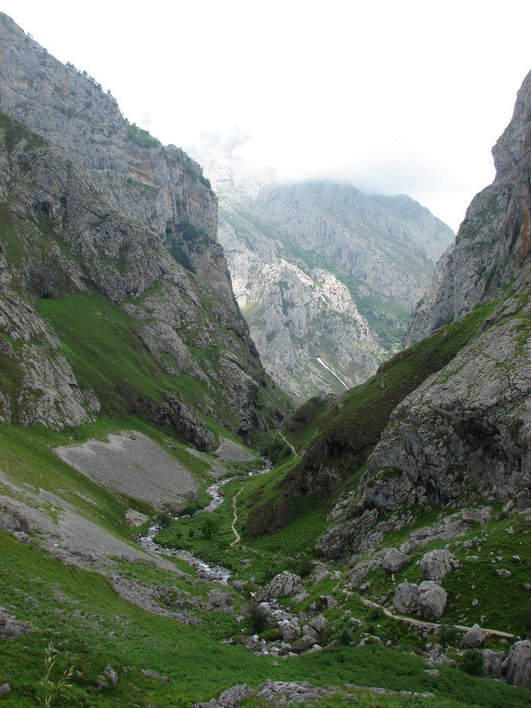 Canal del Tejo desde Bulnes (Bulnes) by laura&paula