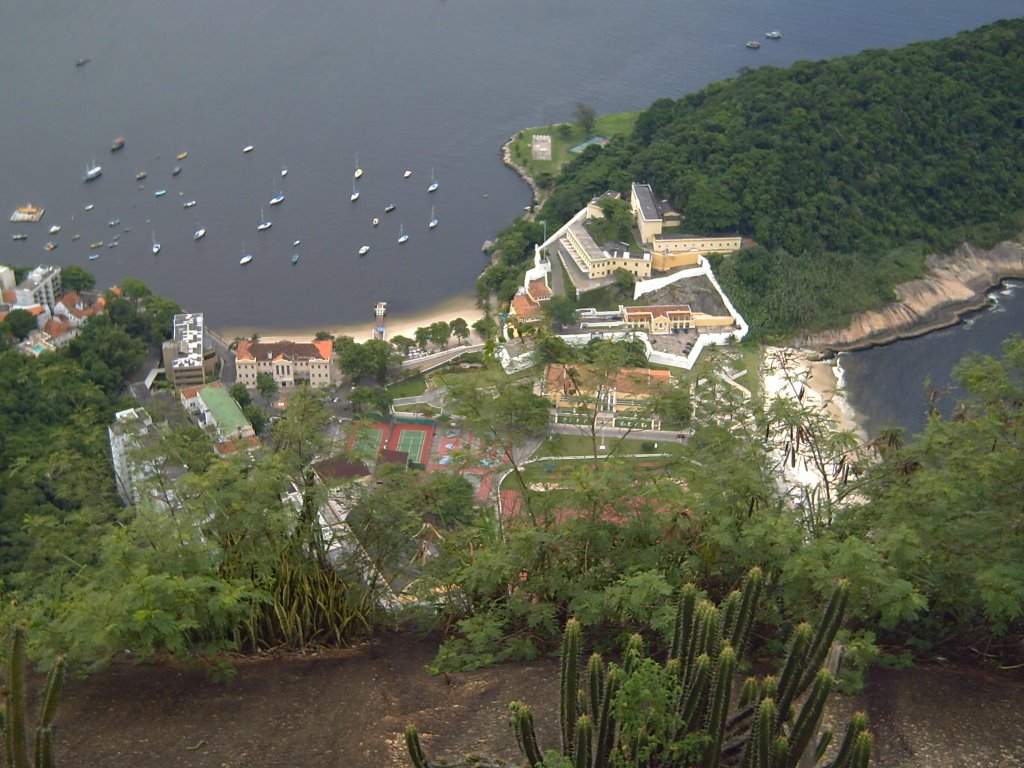 Vista desde Pan de Azúcar by José Pedro Martínez