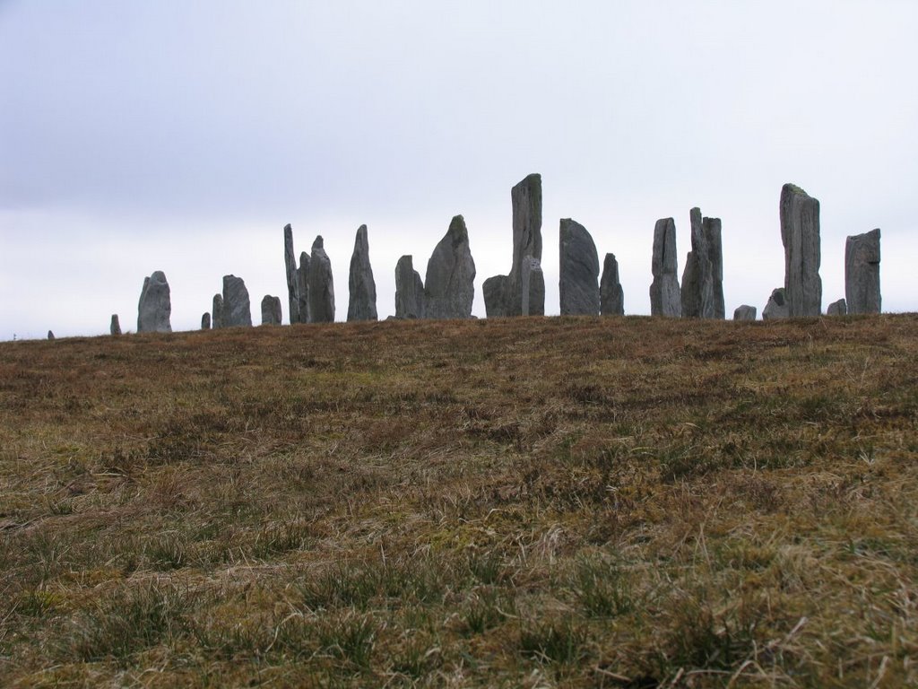 Standing Stones - Callanish by Colin McP