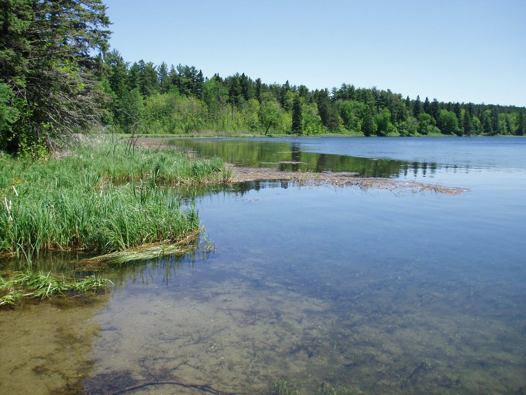 Near the Mississippi River headwaters, north shore of Lake Itasca by bob19