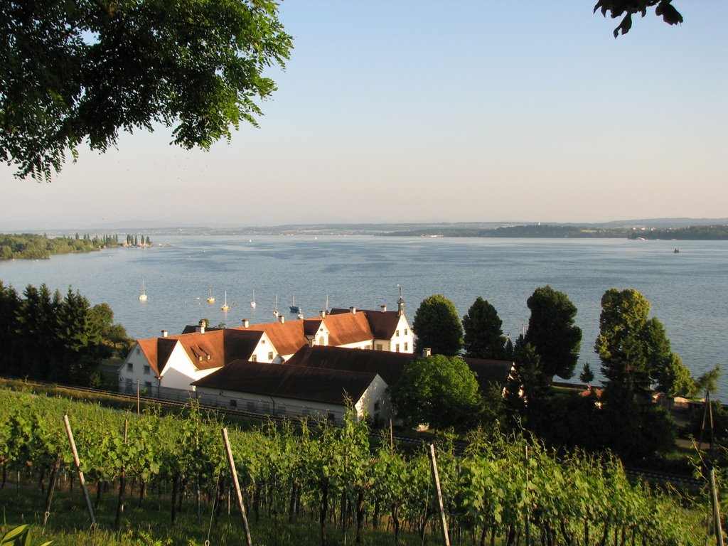 Abendstimmung am Bodensee by SeeMatze