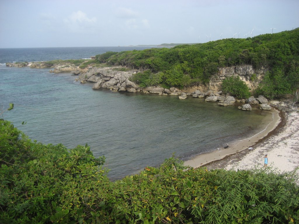 Anse à la Baie - Guadeloupe by shlomoavital