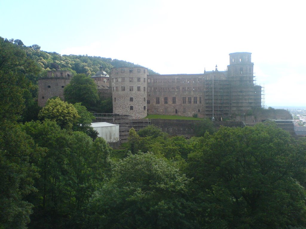 Schloss Heidelberg by Selcuk Yürekli