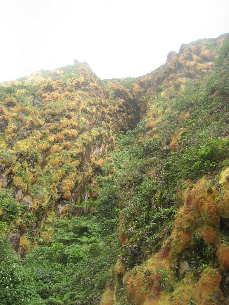 Eboulement Faujas - La Soufrière - Guadeloupe by shlomoavital