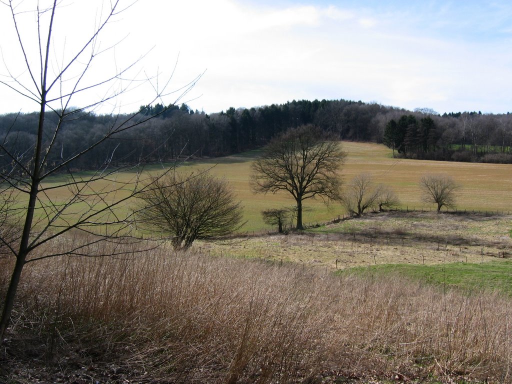 Near Holset by Ben Patelski