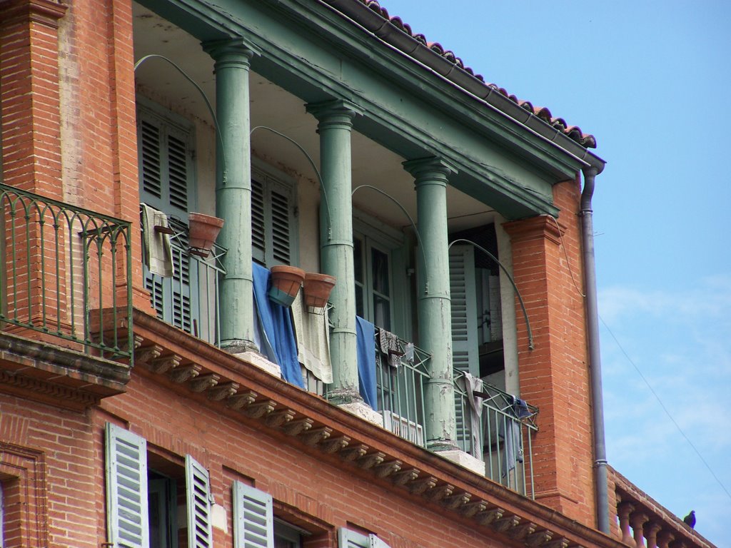 Capitole, Toulouse, France by dauve