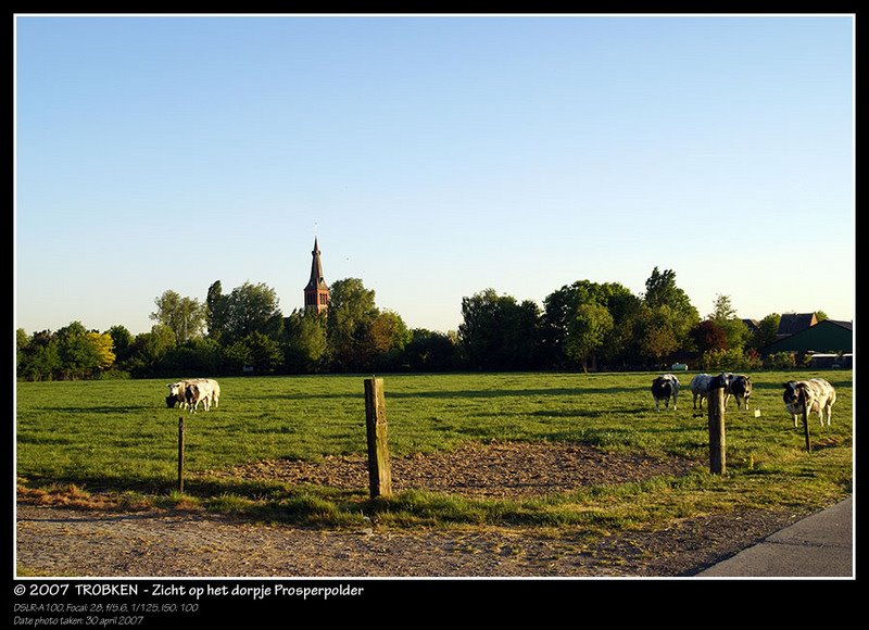 Zicht op het dorpje Prosperpolder by Trobken