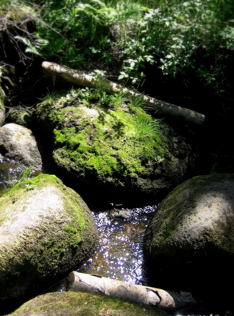 G. Pervouralsk, Sverdlovskaya oblast', Russia by Victor Pomortseff