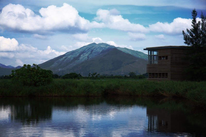 Wetland Park by wallacel