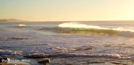 Fairy Meadow beach by Northern Illawarra