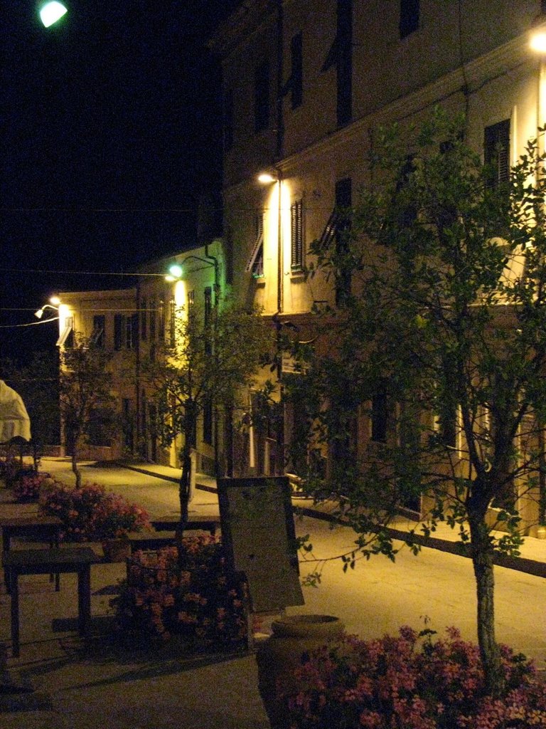 Capoliveri (2008) by gianlugo