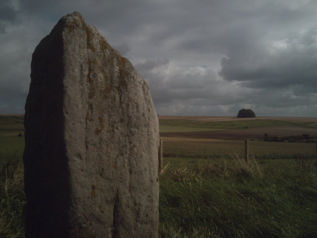 Avebury Stone Walkway by dayzero