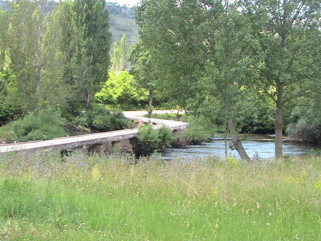 El puente sobre el Ebro en Cidad by ebejar