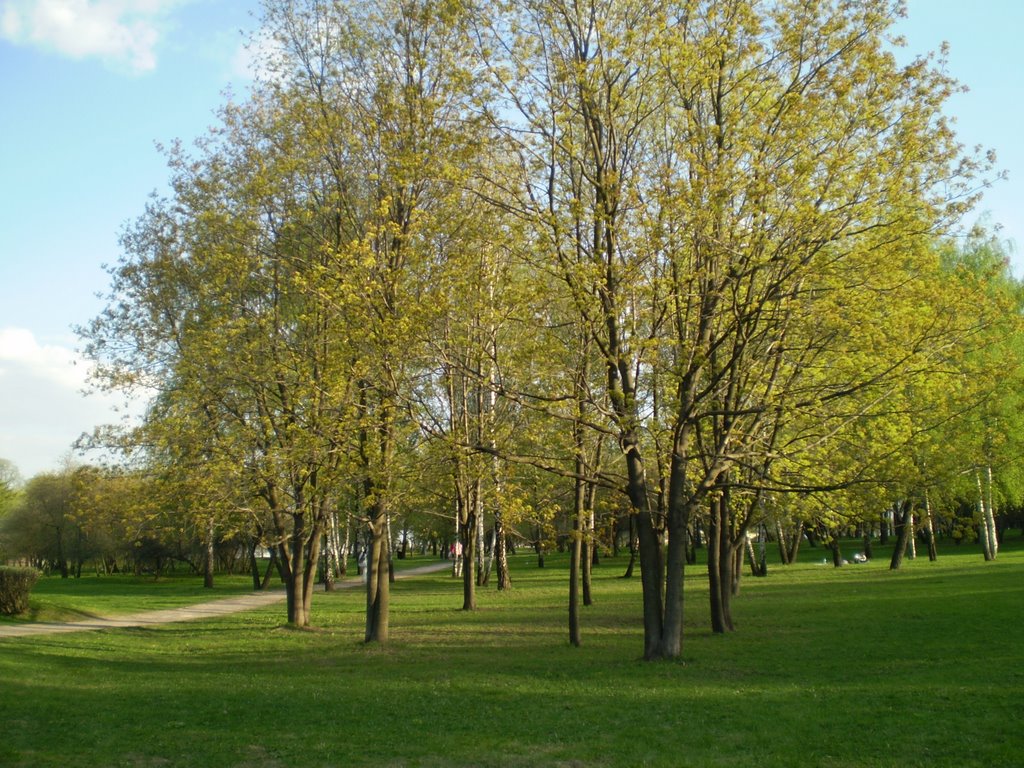 Kolomenskoe by Mario Trieste