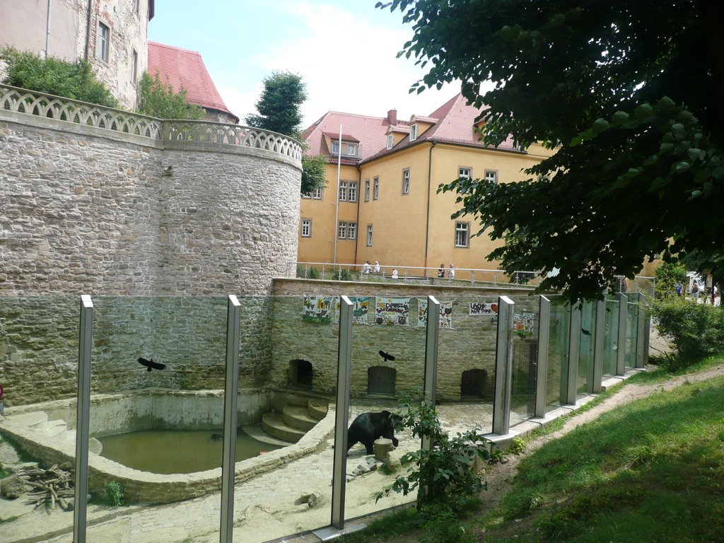 View to the bear pit and restaurant by Knut Hierschel