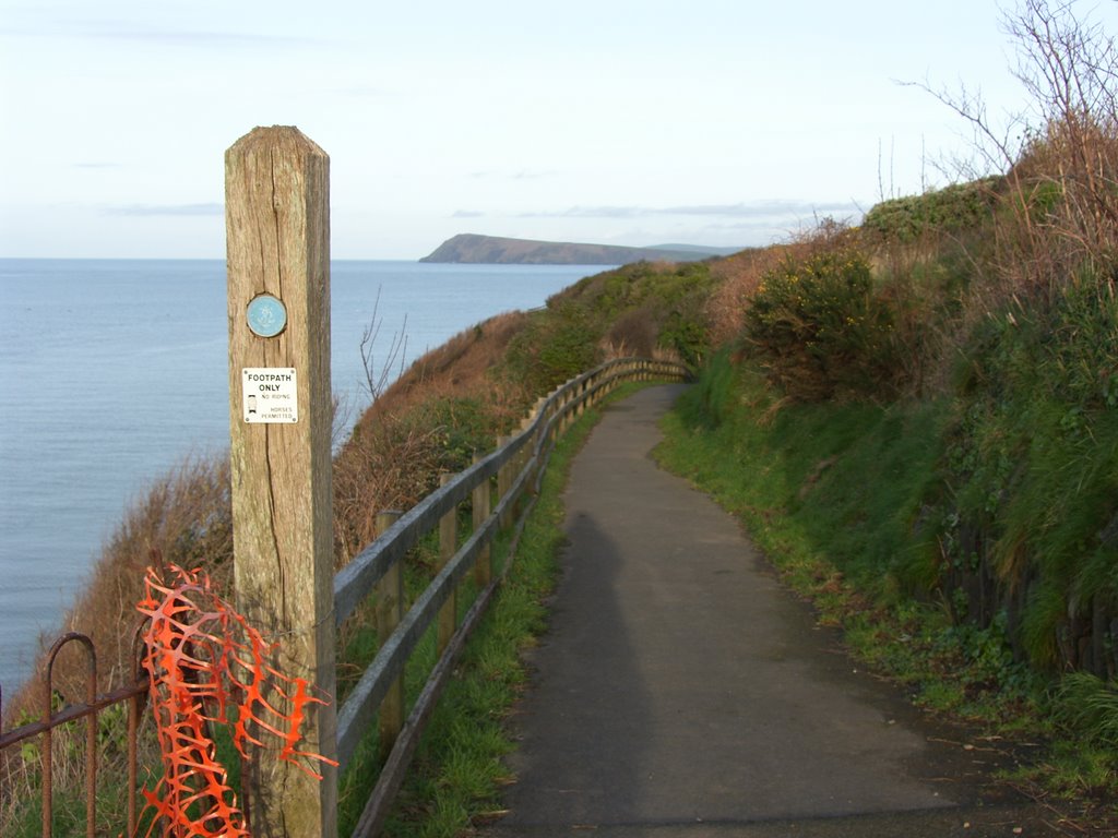 Marine Walk, Fishguard by Morgi