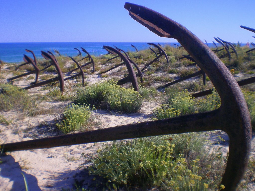 Praia do Barril www.miguelangelmato.jimdo.com by Miguel Ángel Mato