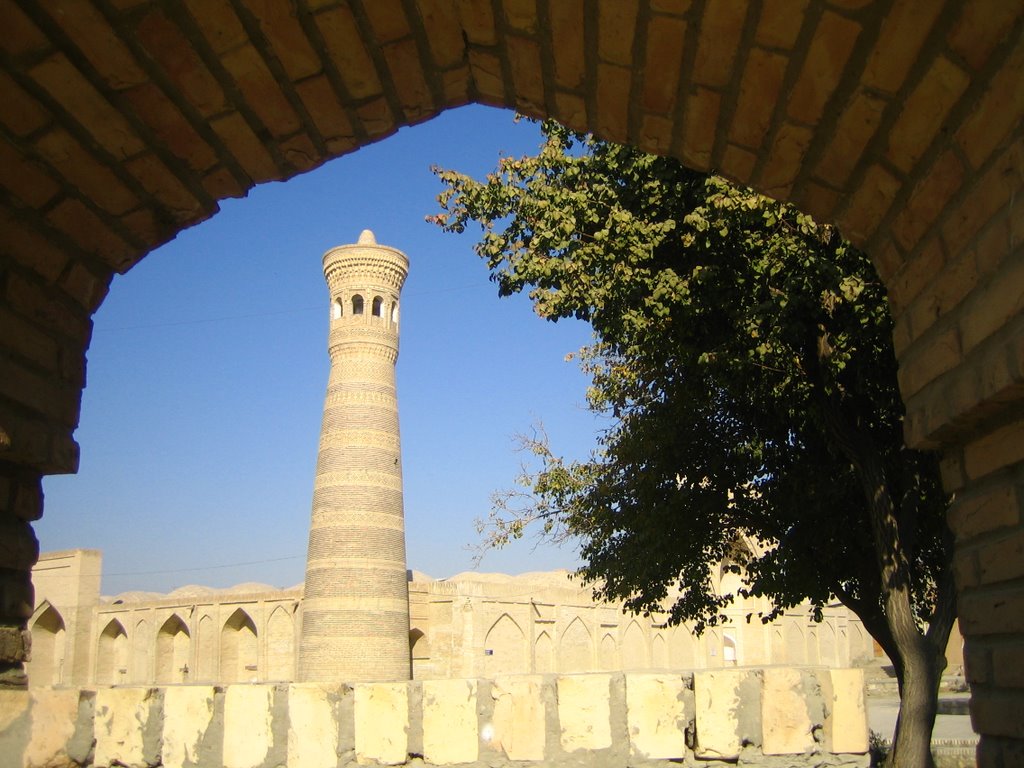 Bukhara, Uzbekistan by silwi