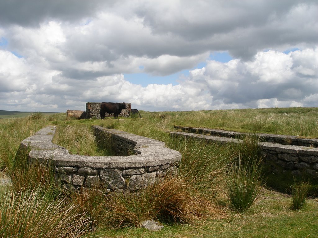 China clay settling pits by wendyemlyn