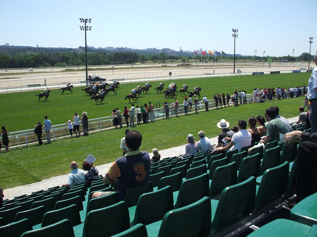 Carrera de caballos by el ruben