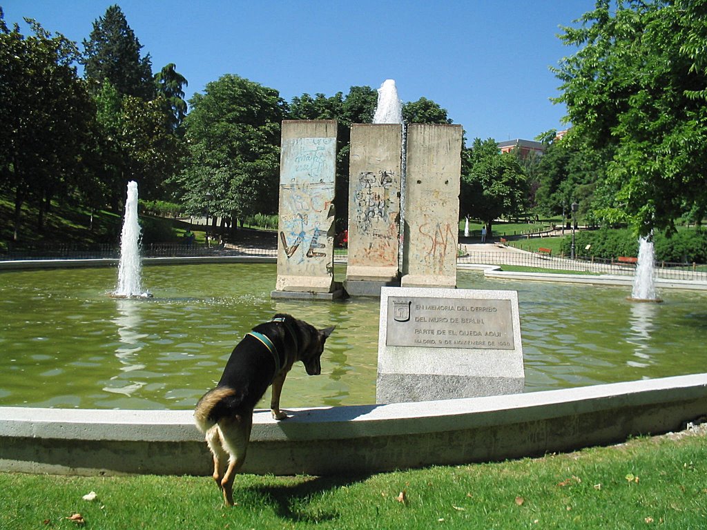 En memoria... by Joaquin Toledo